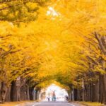 札幌市北区の住宅事情をご紹介